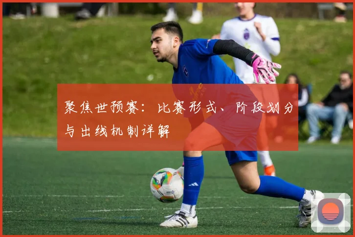 聚焦世预赛：比赛形式、阶段划分与出线机制详解