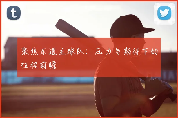 聚焦东道主球队：压力与期待下的征程前瞻
