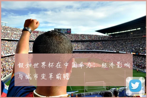 假如世界杯在中国举办：经济影响与城市变革前瞻