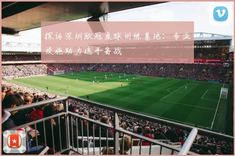 探访深圳欧冠桌球训练基地：专业设施助力选手备战