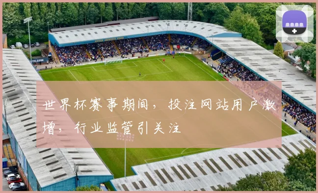 世界杯赛事期间，投注网站用户激增，行业监管引关注