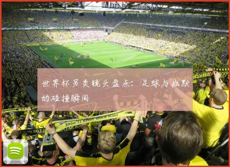 世界杯另类镜头盘点：足球与幽默的碰撞瞬间